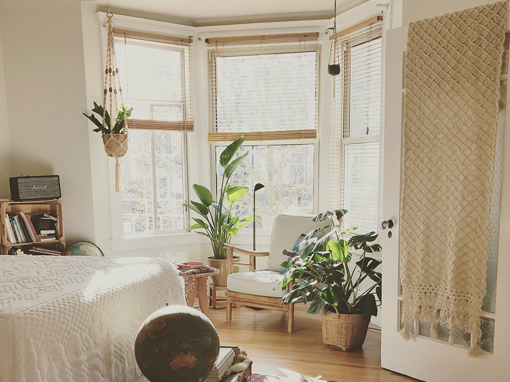 Pflanzen im Wohnzimmer Pflanzen im Wohnzimmer