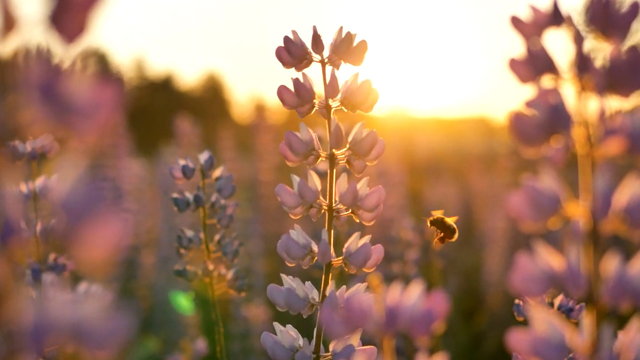 nachhaltige und langlebige Möbel von ADA Mindful Living