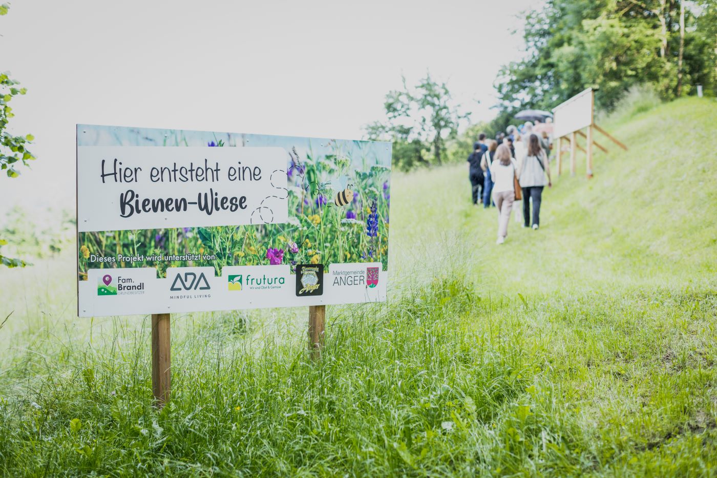 Bienenprojekt_Schaubienenweg