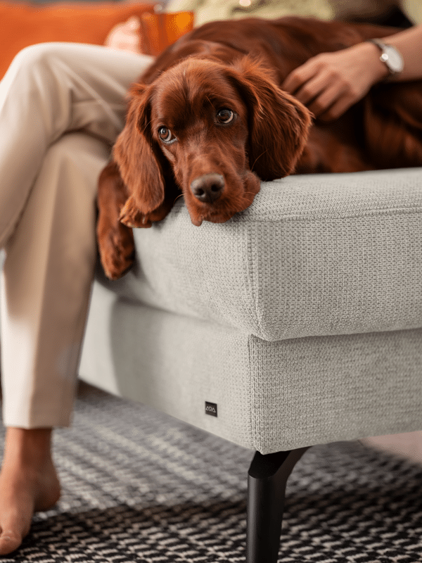 Sofaecke von ARLINA mit Hund Sofaecke von ARLINA mit Hund
