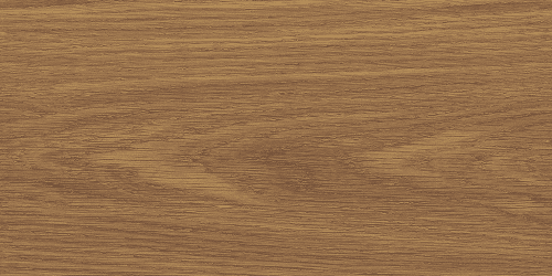 EI460-e1734518439375-500×250