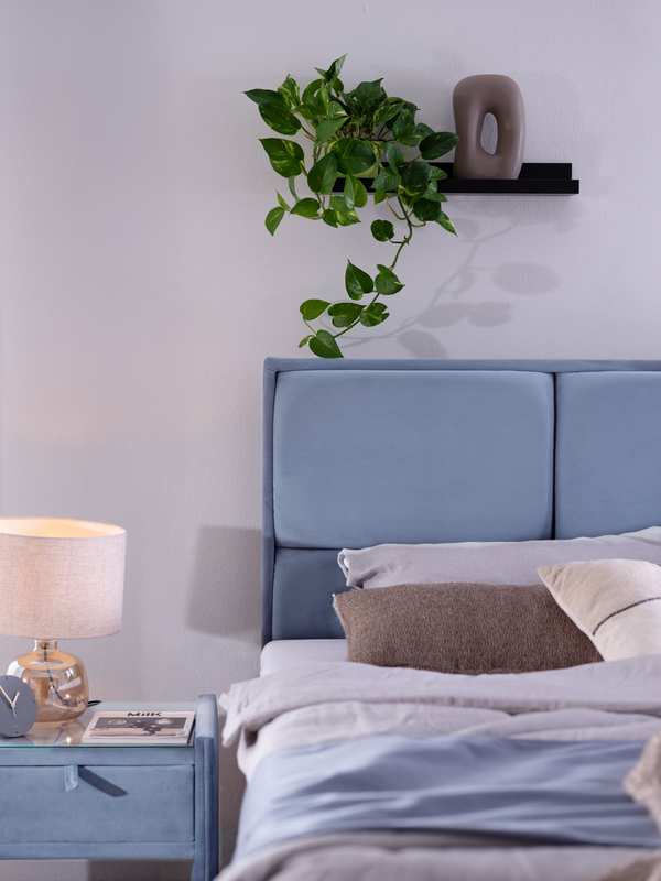 xl-SIDUS Bett Sidus mit hellblauem Stoff und Steppung im Kopfteil